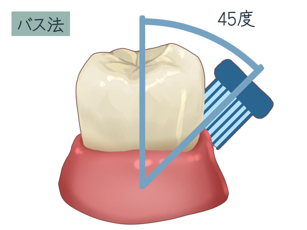 バス法