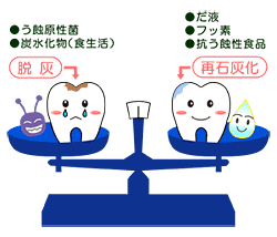 CPP-ACPの再石灰化作用