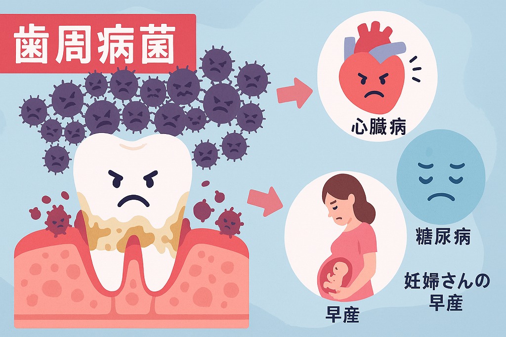 歯周病菌と全身疾患の深い関係