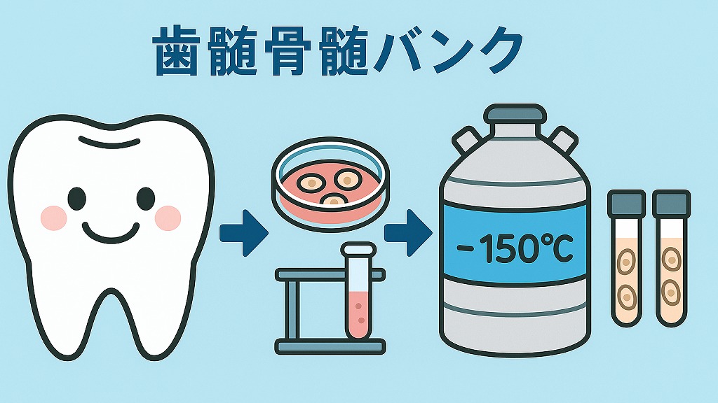 歯髄骨髄バンク