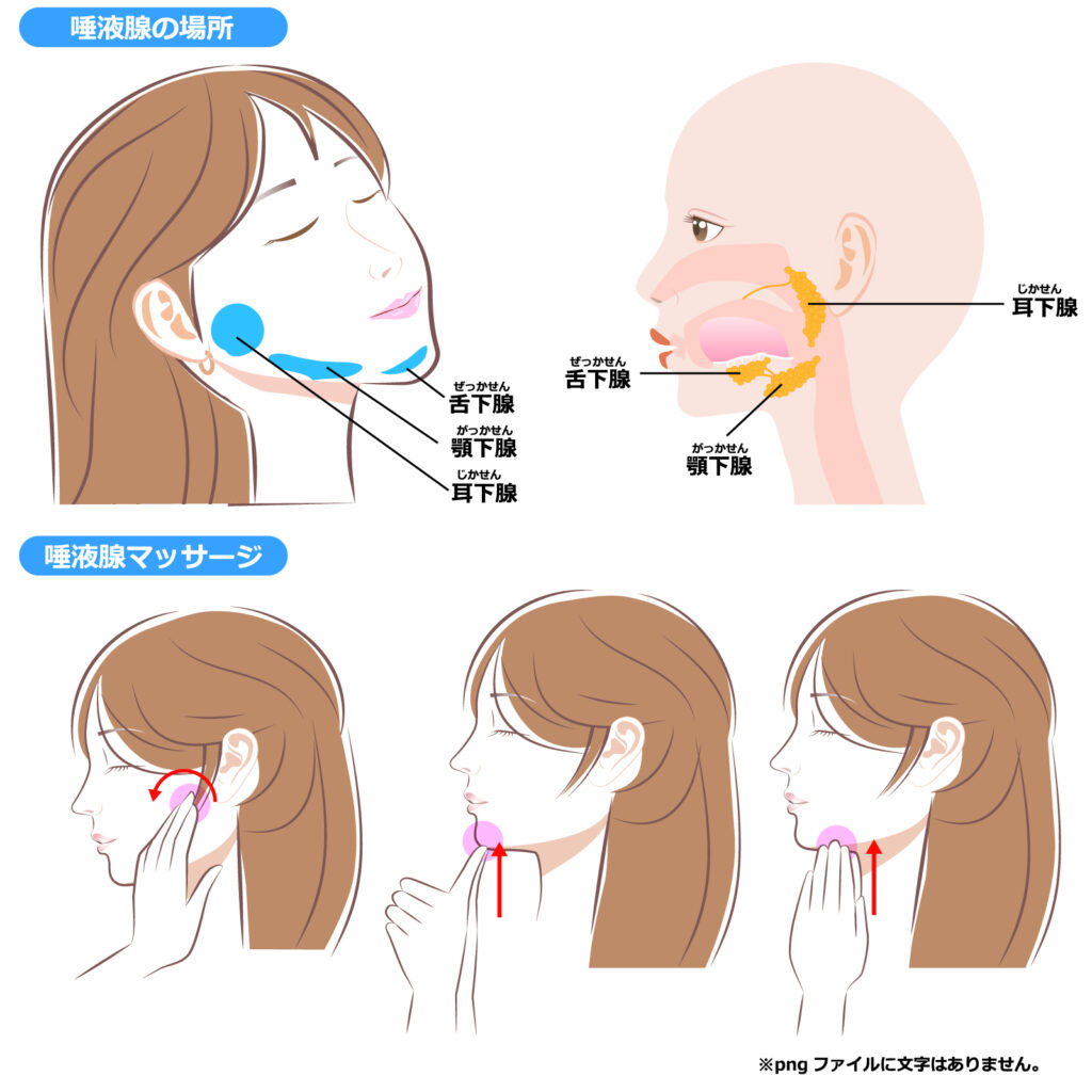 唾液腺を刺激するエクササイズ