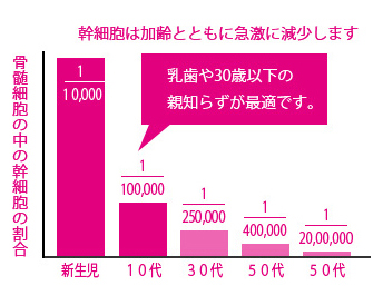 幹細胞は加齢とともに急激に減少する