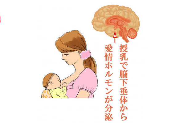 愛情ホルモンが出る
