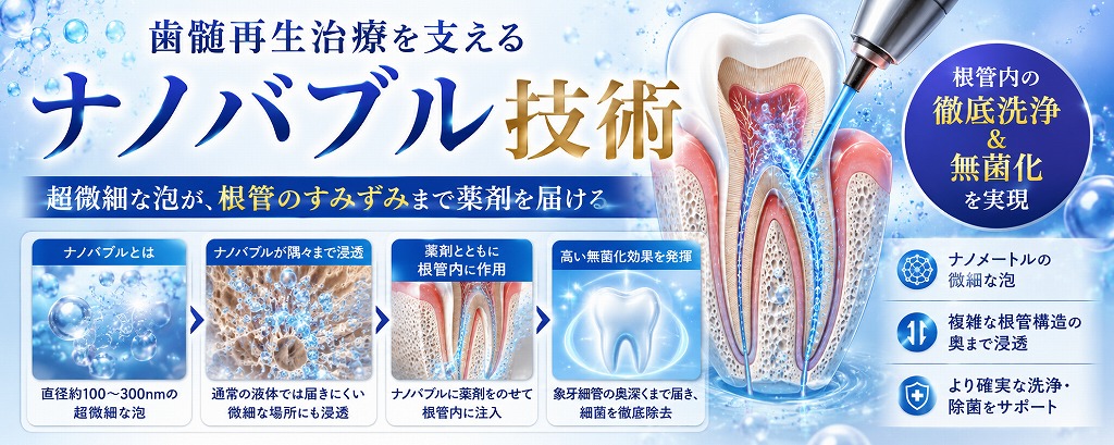 歯髄再生治療を支えるナノバブル技術