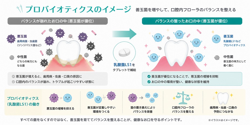 プロバイオティクスのイメージ