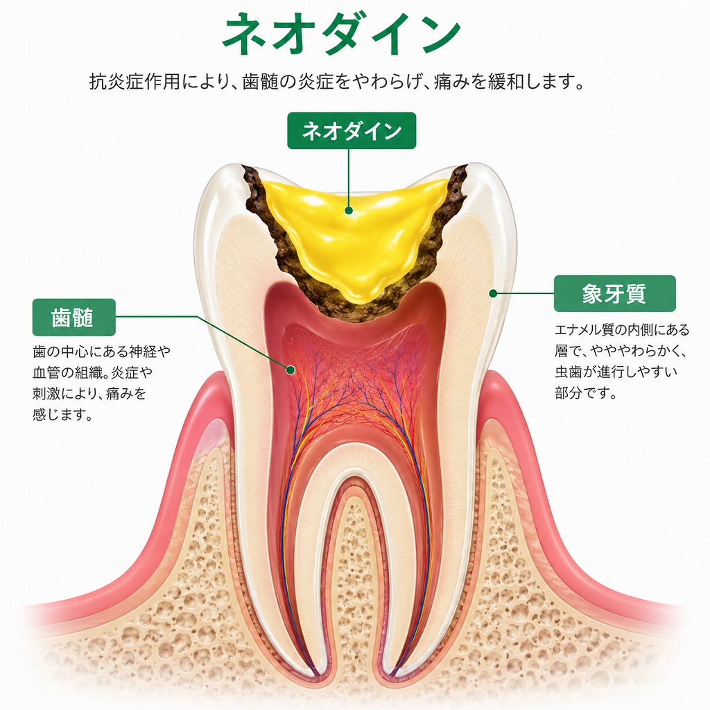 CC＋ネオダインの貼薬