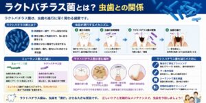 ラクトバチラス菌とは？虫歯との関係