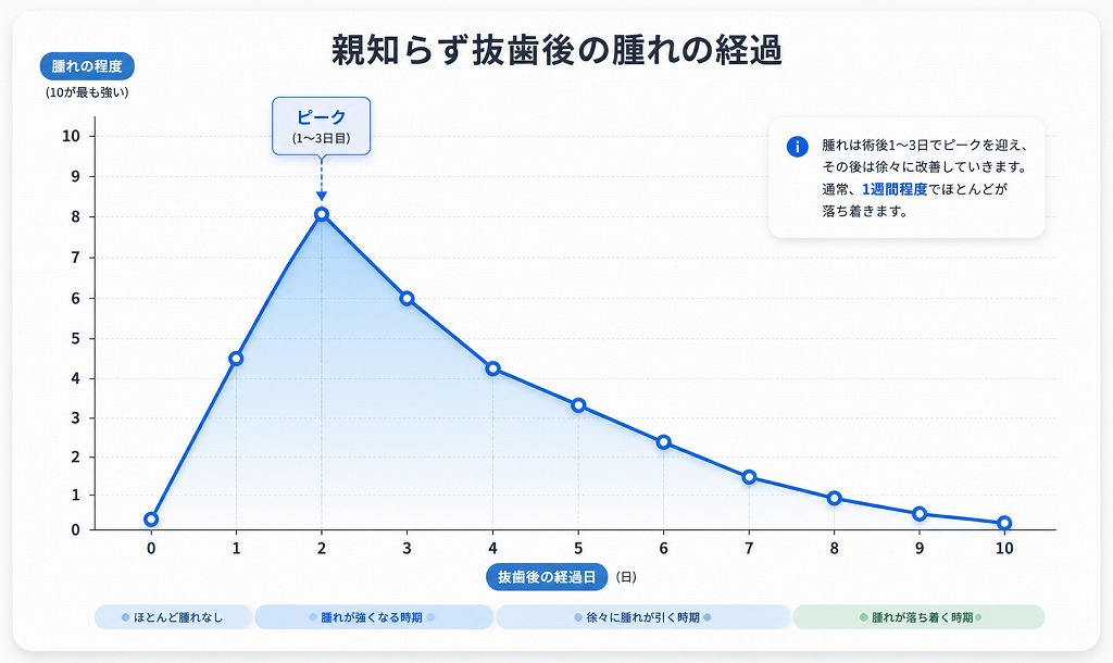 いつから・どのくらい腫れる？｜腫れの時期と持続時間