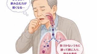 歯周病が肺炎を招く？誤嚥性肺炎の原因と対策を徹底解説