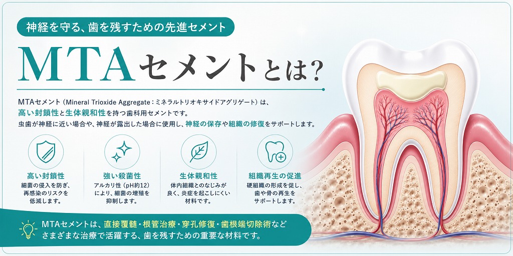 MTAセメントとは？