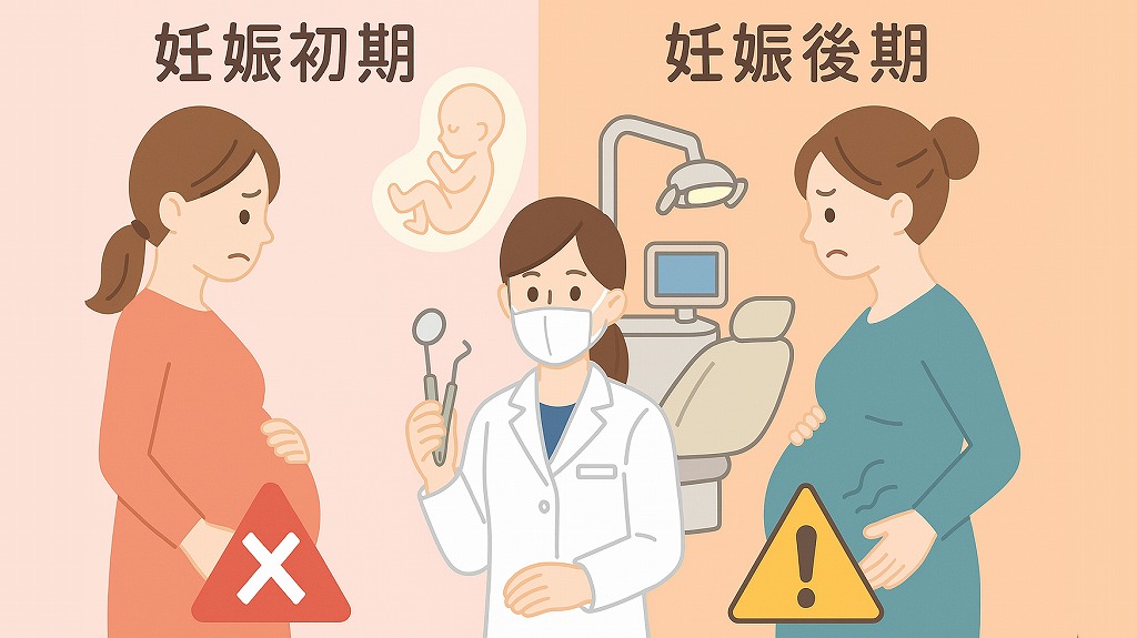 【なるべく控えたい】妊娠初期【慎重に判断】妊娠後期