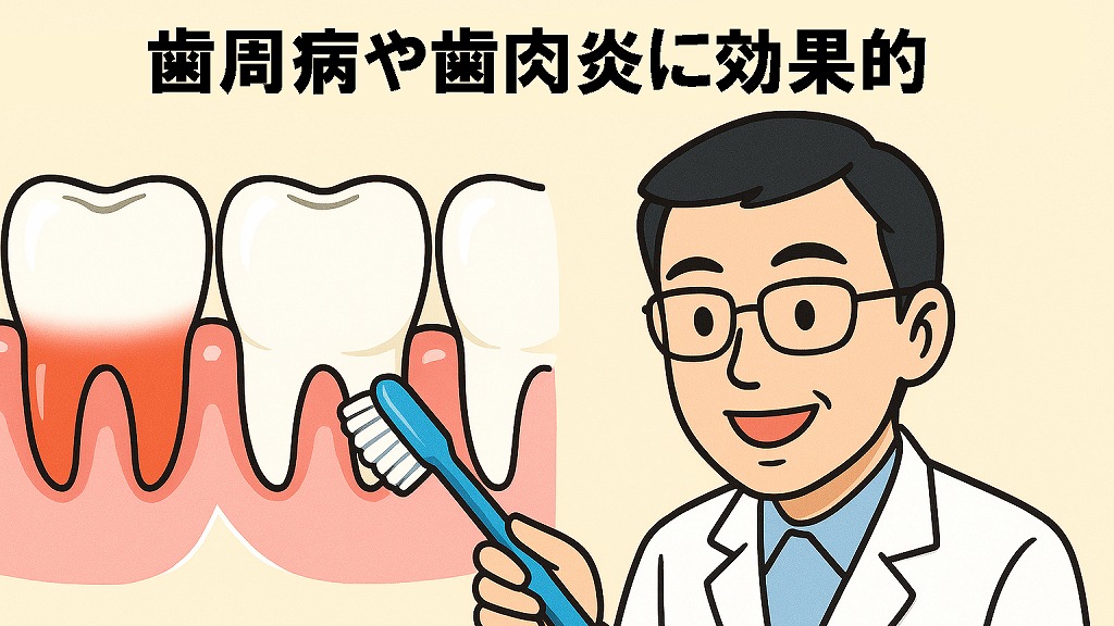 歯ぐきの健康を守る「バス法」、ご存じですか?