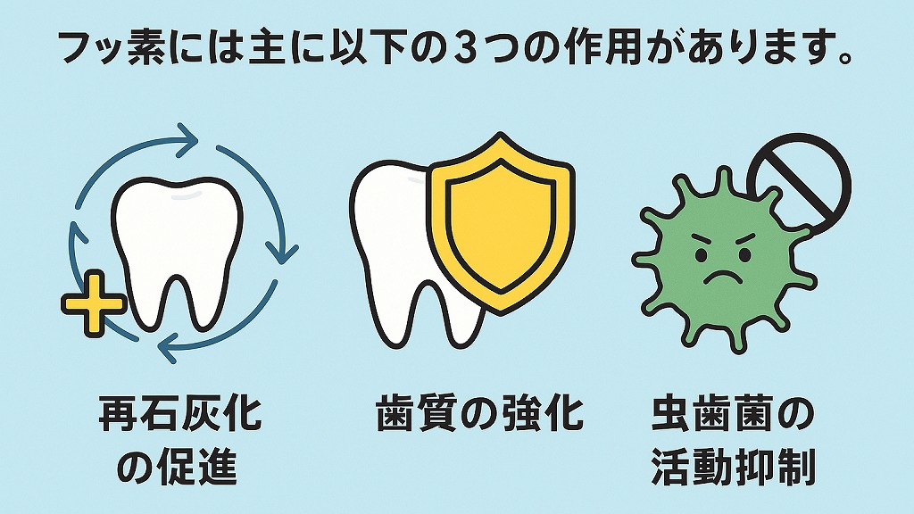 フッ素の3大効果