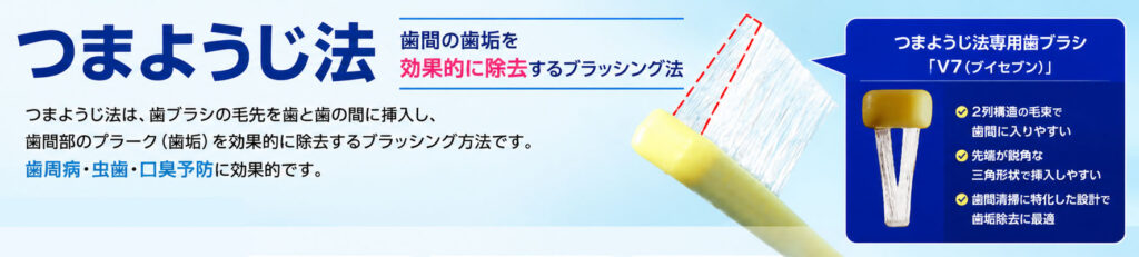 つまようじ法専用歯ブラシ「V7（ブイセブン）」