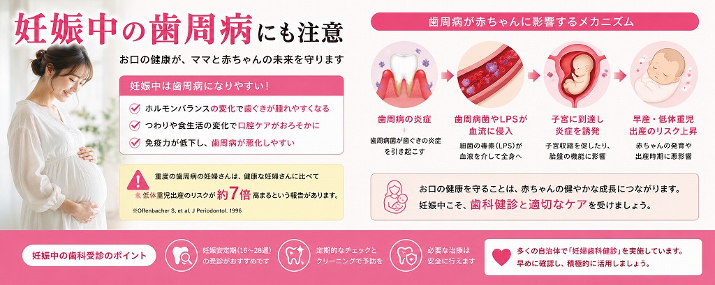 妊娠中の歯周病にも注意