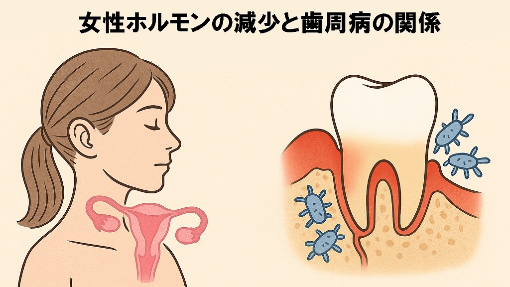 女性ホルモン減少の原因と影響