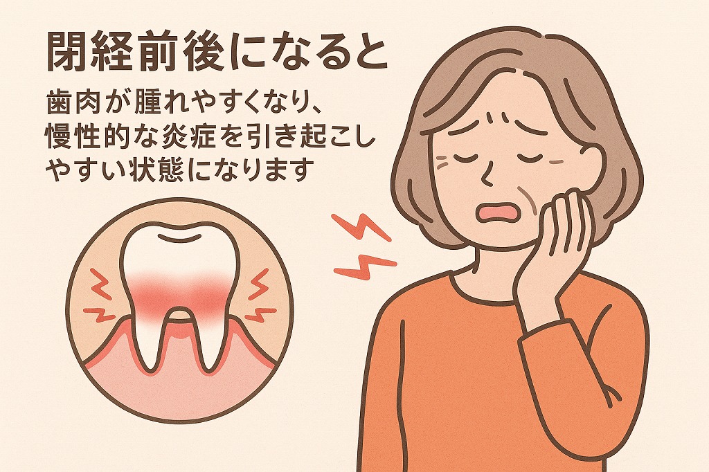 閉経前後になると歯肉が腫れやすくなります。