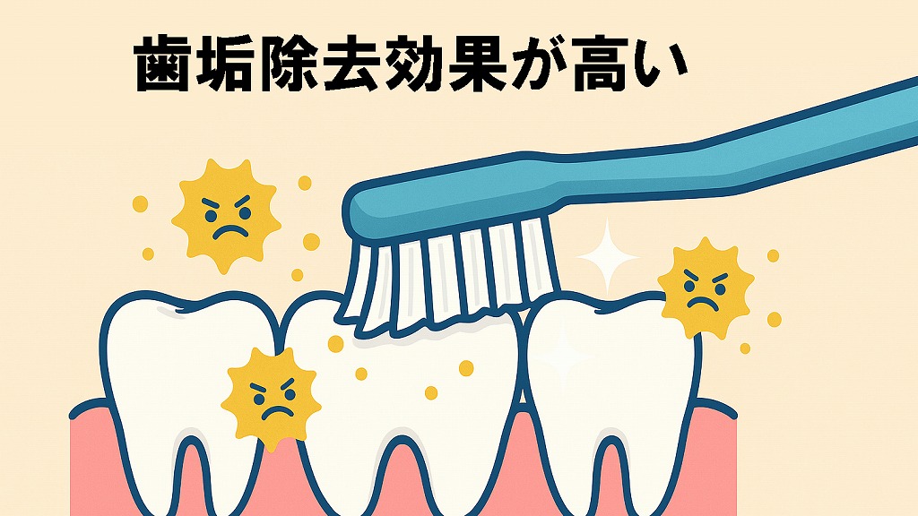 高い歯垢除去効果