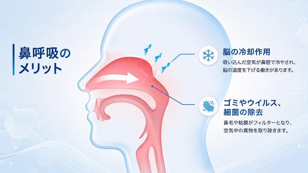 鼻呼吸が人間にとって「正常」である理由