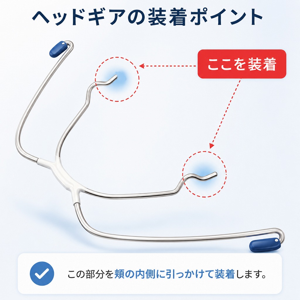 フィスボウの構造