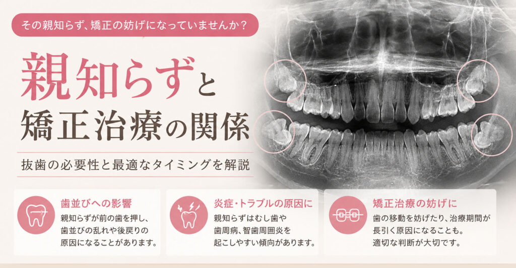親知らずと矯正治療の関係