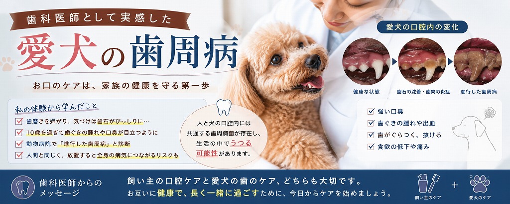 歯科医師として実感した愛犬の歯周病