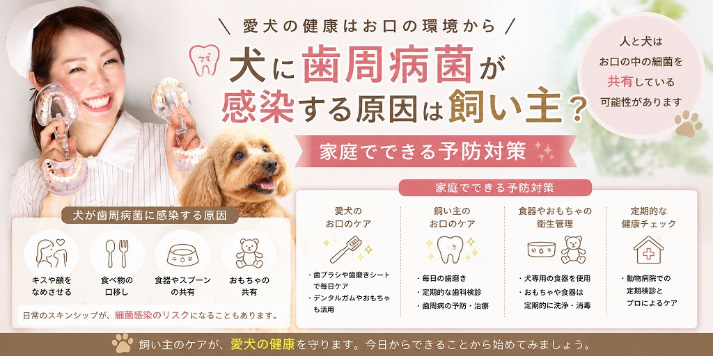犬に歯周病菌が感染する原因は飼い主？家庭でできる予防対策