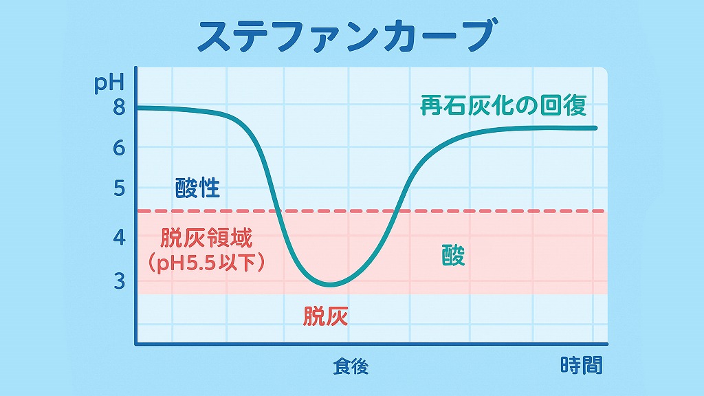 ステファンカーブ