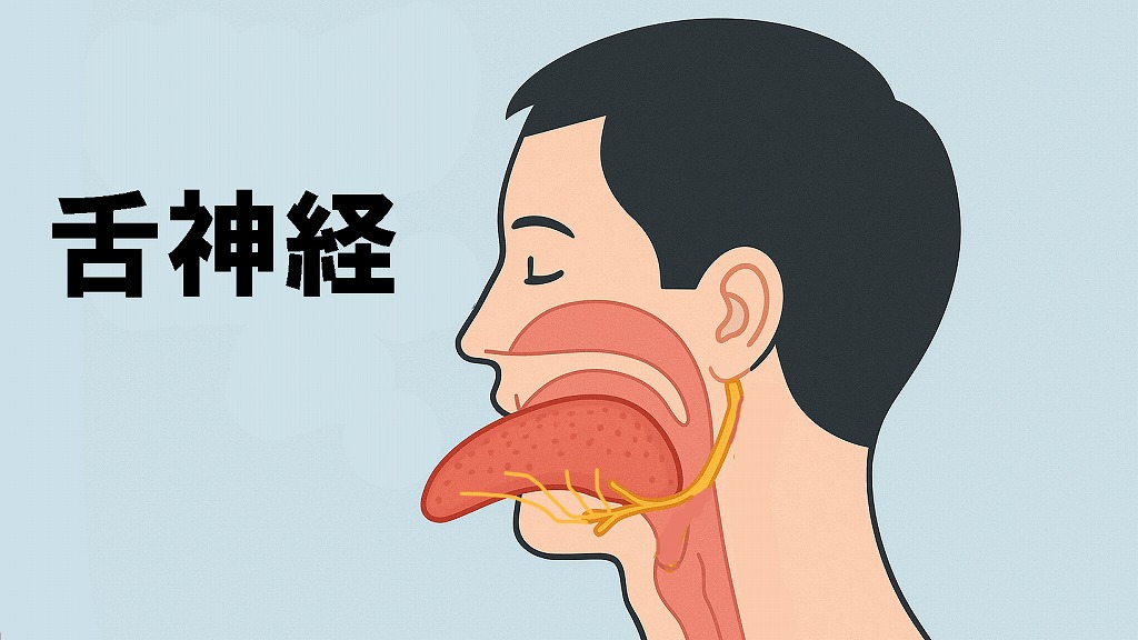舌神経とは？