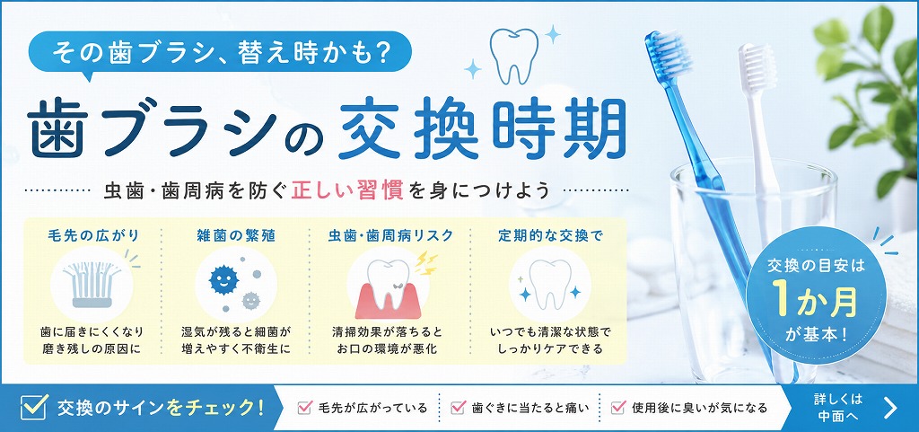 歯ブラシの交換時期