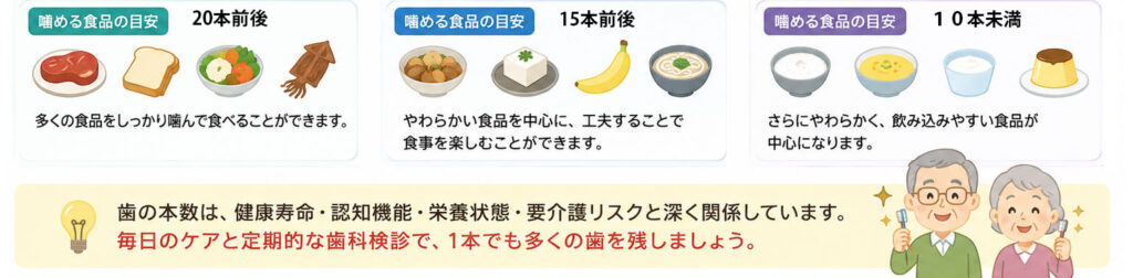 歯の本数と全身の健康との関係