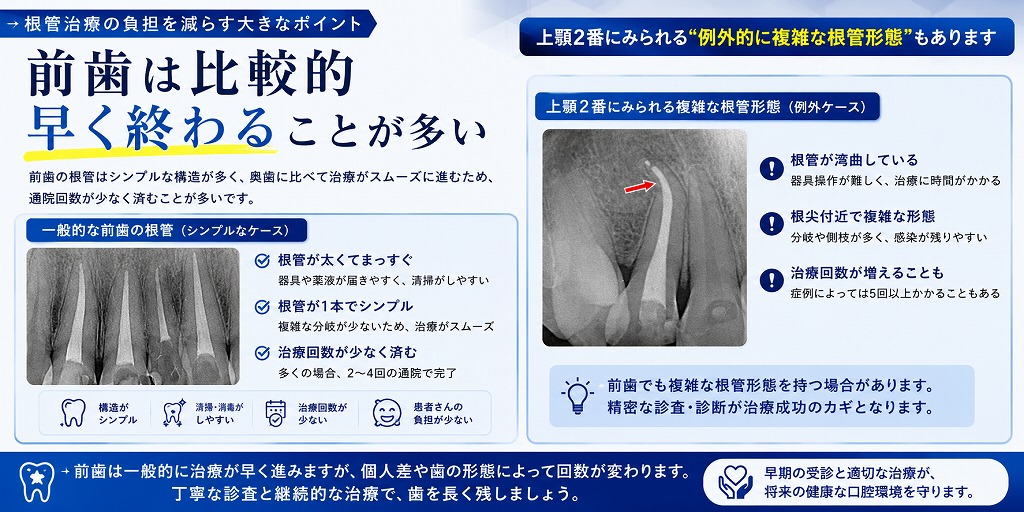 前歯は比較的早く終わることが多い