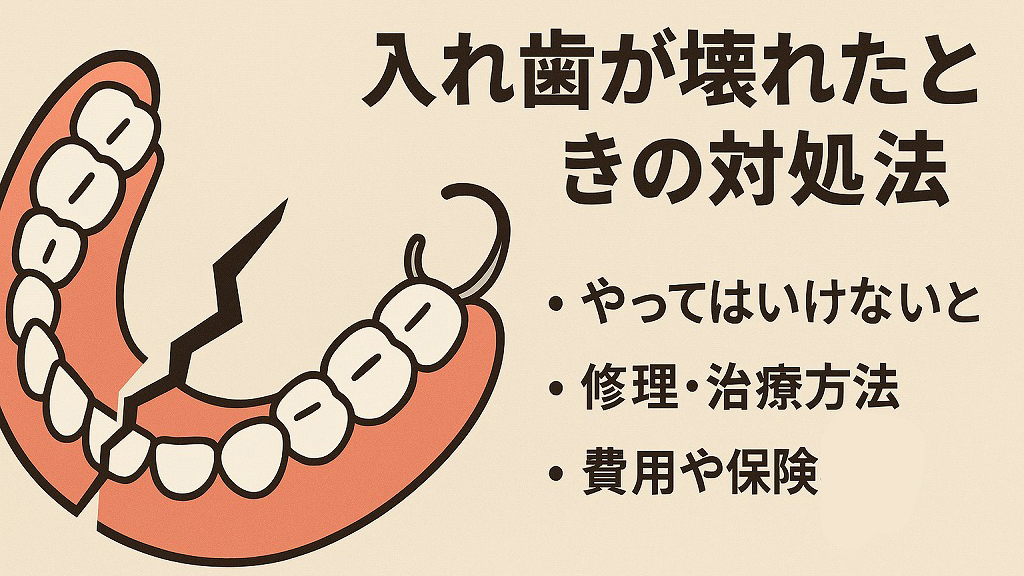 入れ歯が壊れたときの正しい対処法