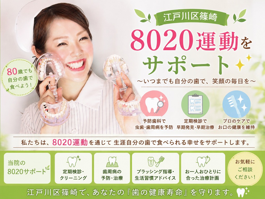 【江戸川区篠崎】8020運動をサポート|80歳でも自分の歯で食べるために