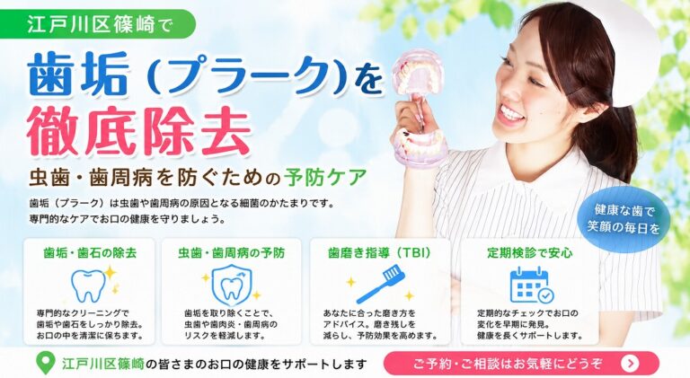 歯垢（プラーク）とは？虫歯・歯周病を引き起こす細菌のかたまりを徹底解説