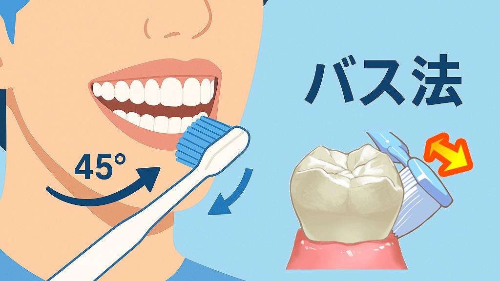 バス法ー歯周病予防に効果的な歯磨きの方法