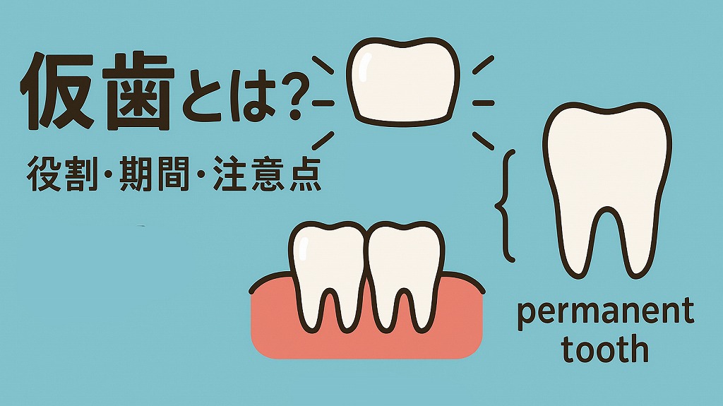 仮歯とは？