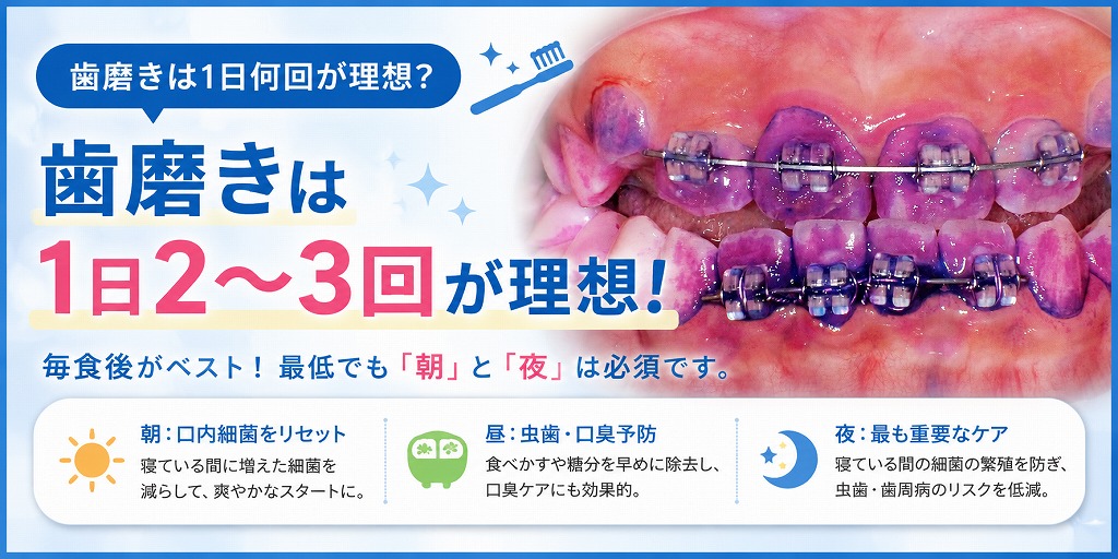 歯磨きは1日何回が理想？
