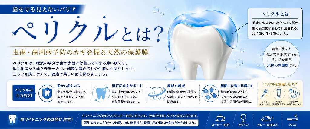 ペリクルとは