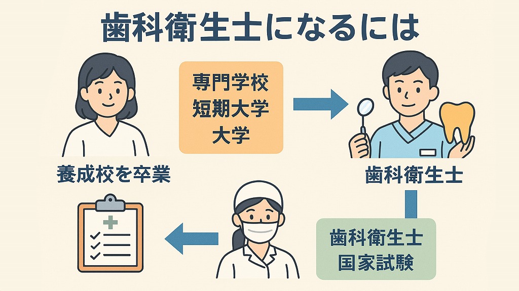 歯科衛生士になるには?