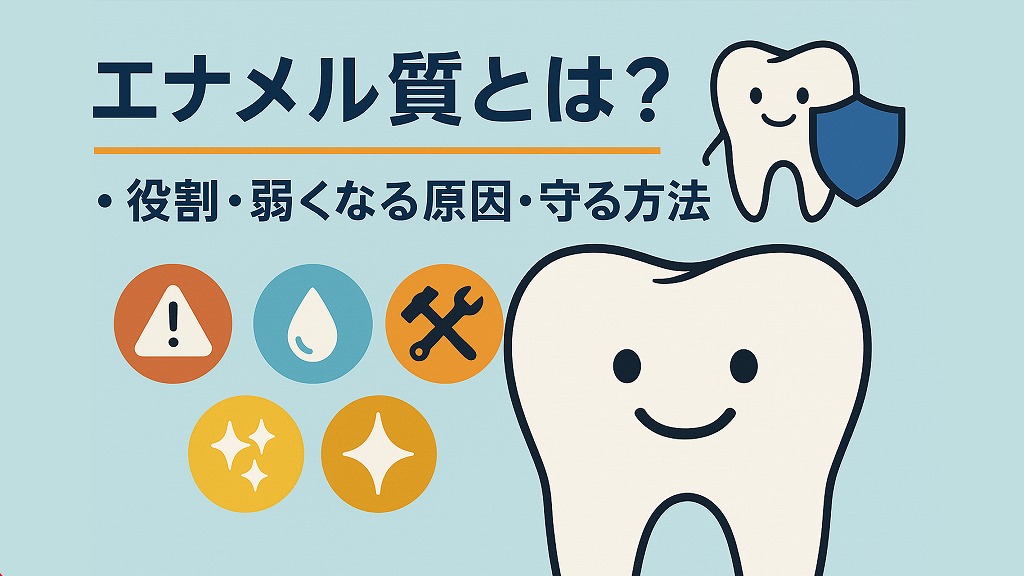 エナメル質とは？