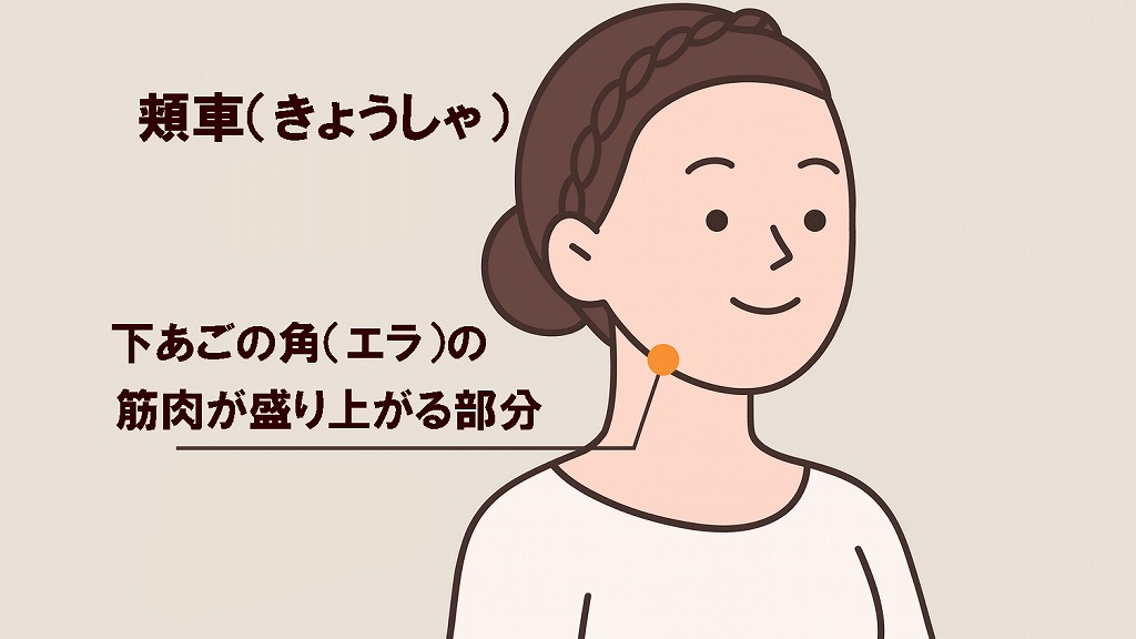 頬車（きょうしゃ）