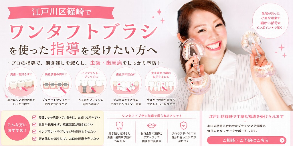 江戸川区篠崎でワンタフトブラシを使った指導を受けたい方へ