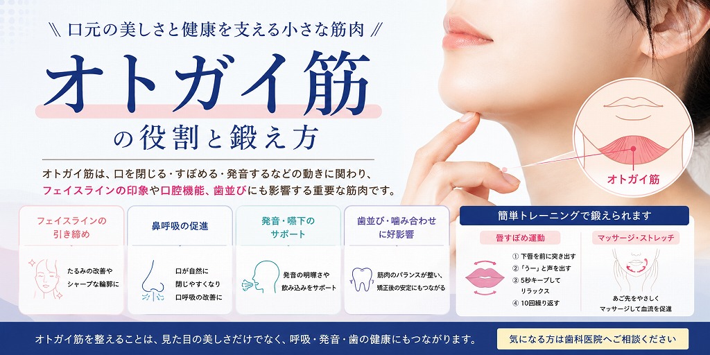 オトガイ筋の役割