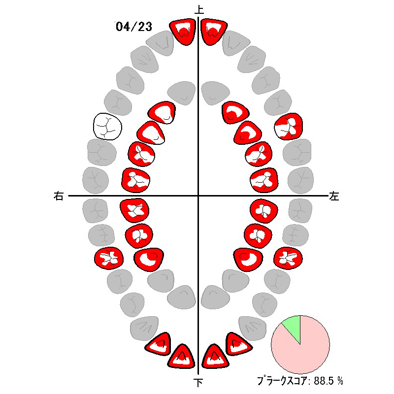 1枚目：初めての染め出し（4月23日）