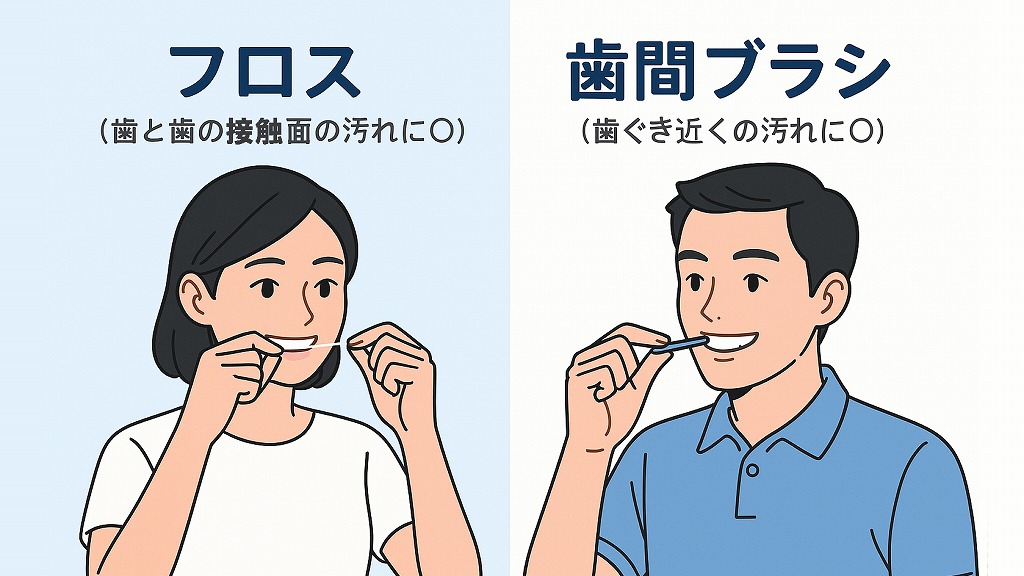 フロスと歯間ブラシの基本的な違い