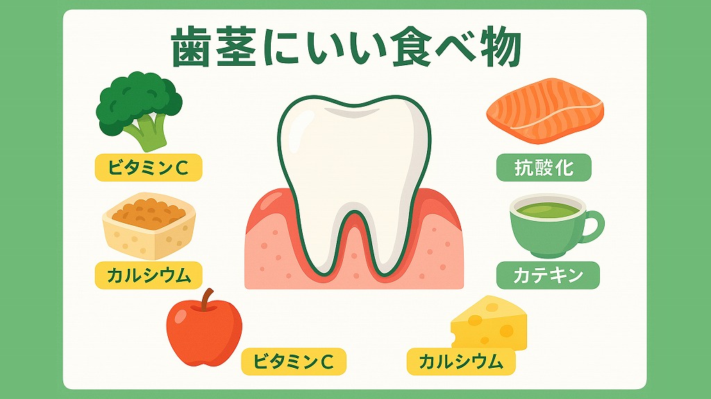 歯茎を強くする栄養素とは?