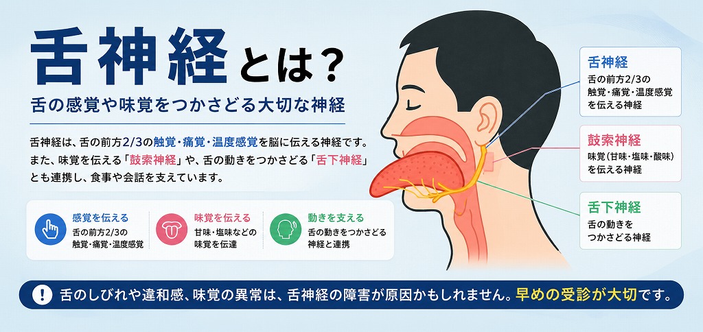 舌神経とは？