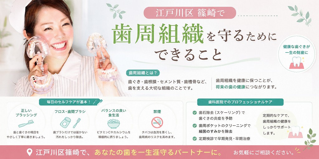 江戸川区篠崎で歯周組織を守るためにできること