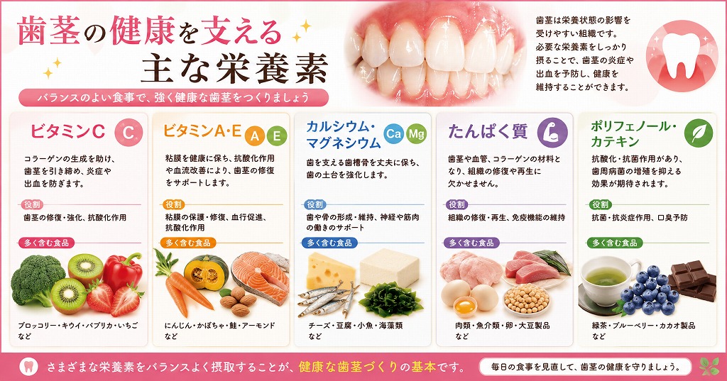 歯茎の健康を支える主な栄養素